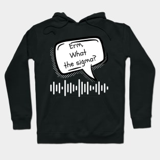 Erm, What The Sigma? Meme, Funny memes Hoodie